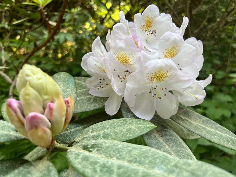 23-06-03 17-01-02 5813.jpeg